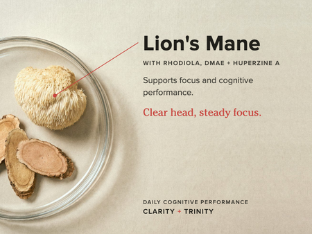 Lion's mane to support focus and cognition